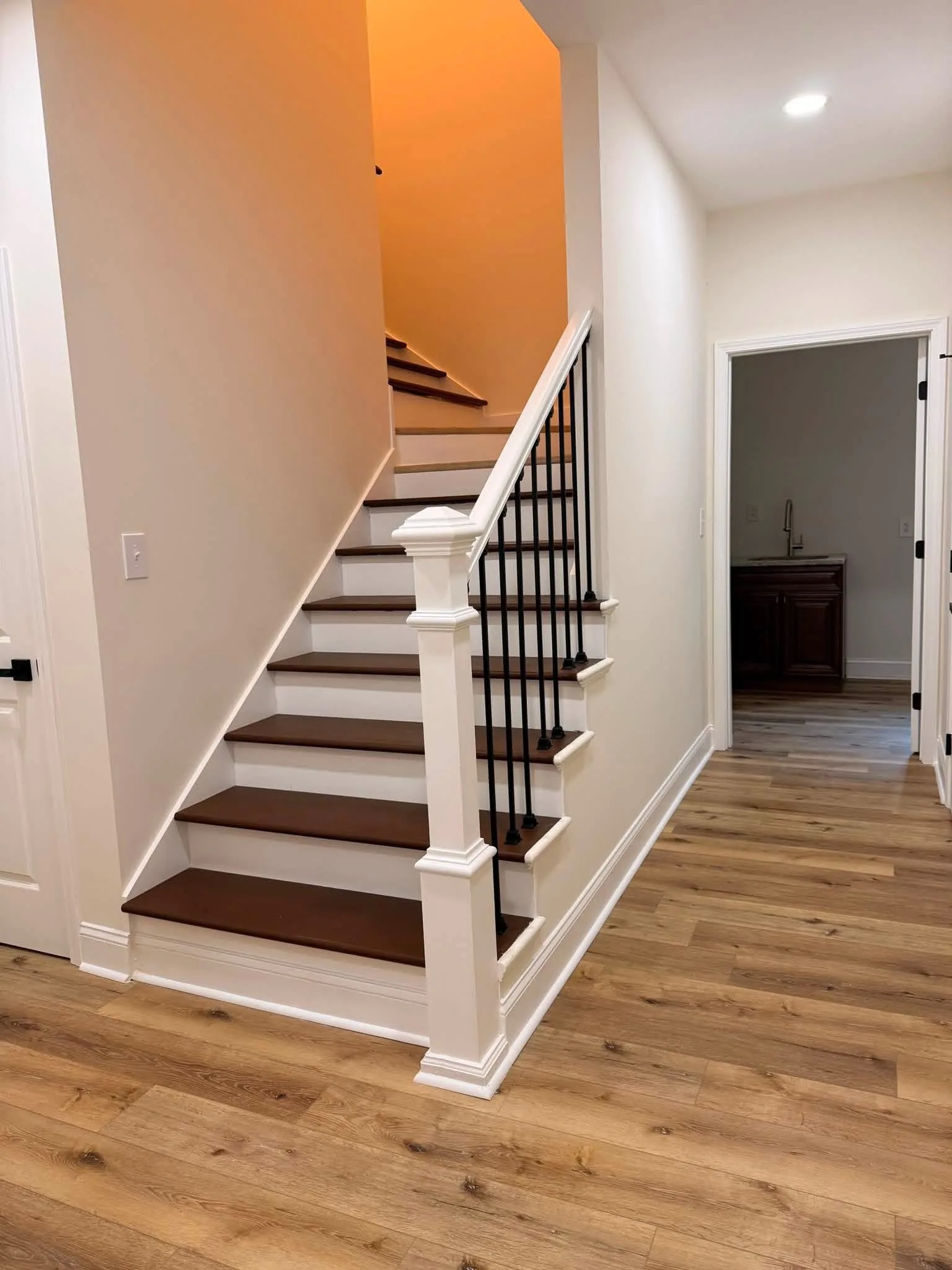 The Craftsman Family Home project photograph